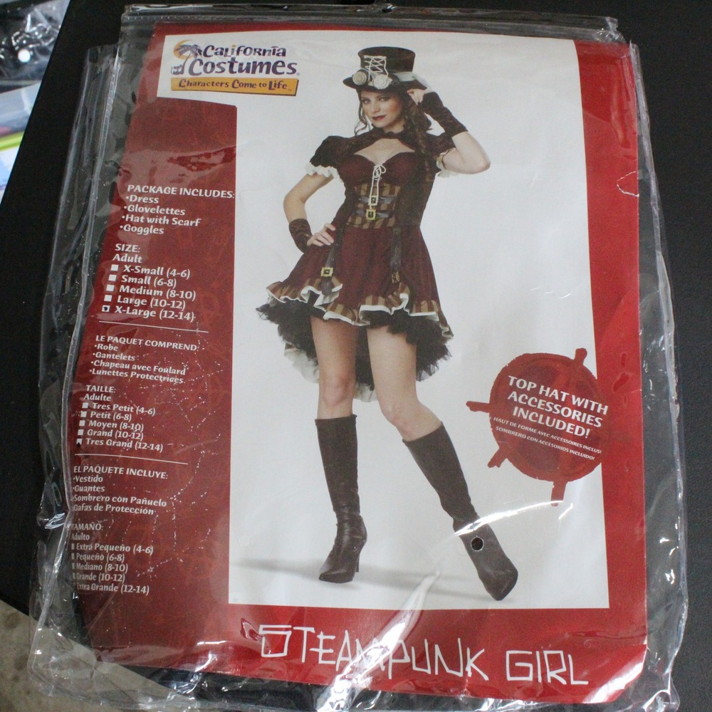 California Costumes Steampunk XL 12-14 Brown Burgundy Victorian Cosplay Y2K
